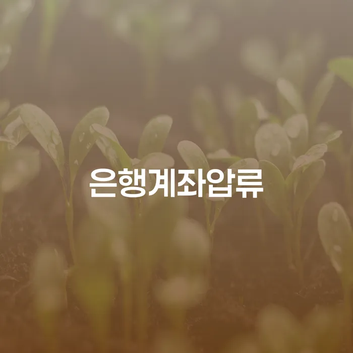 개인회생 비트코인 워크아웃 최신정보