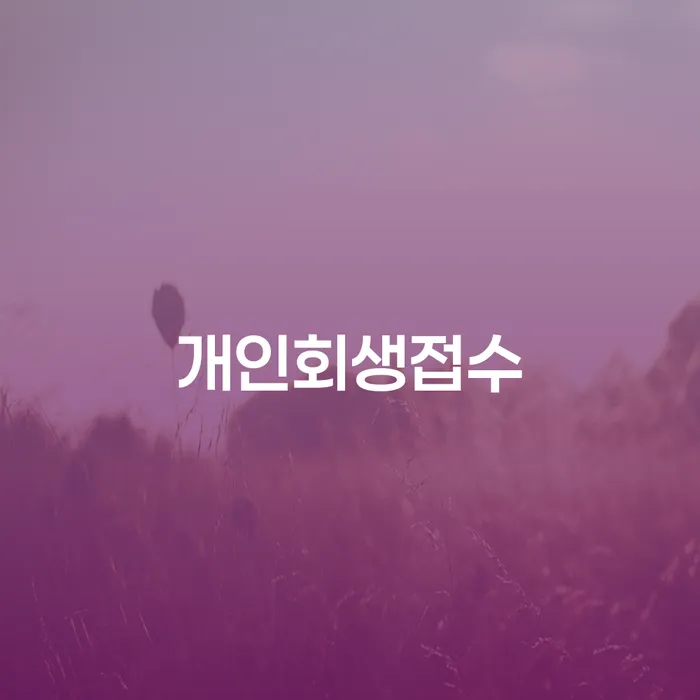 도산전문변호사 빚 합법적인 빠른방법 필수로 알아야하는 부분