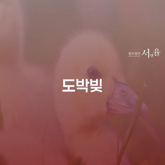 개인회생자격 빚 합법적인 빠른방법 무료로 확인하는 방법
