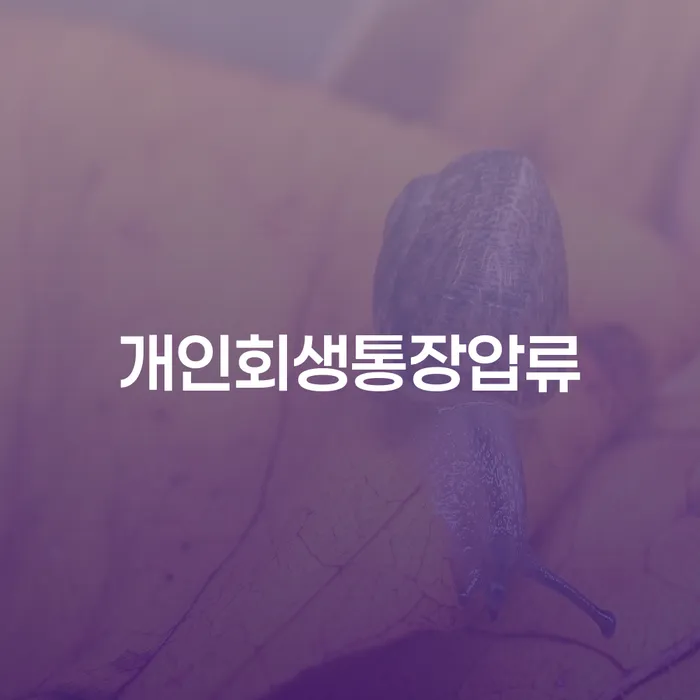 20년 대출 연체 시 개인회생으로 방법 선택해야 하는