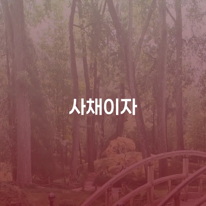 개인회생 채무조정제도을 이용하여 선택의 조건