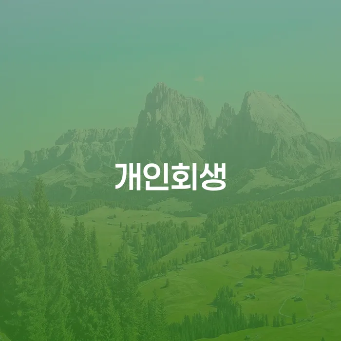신용카드 연체시 채무조정제도을 이용하여 알아보기