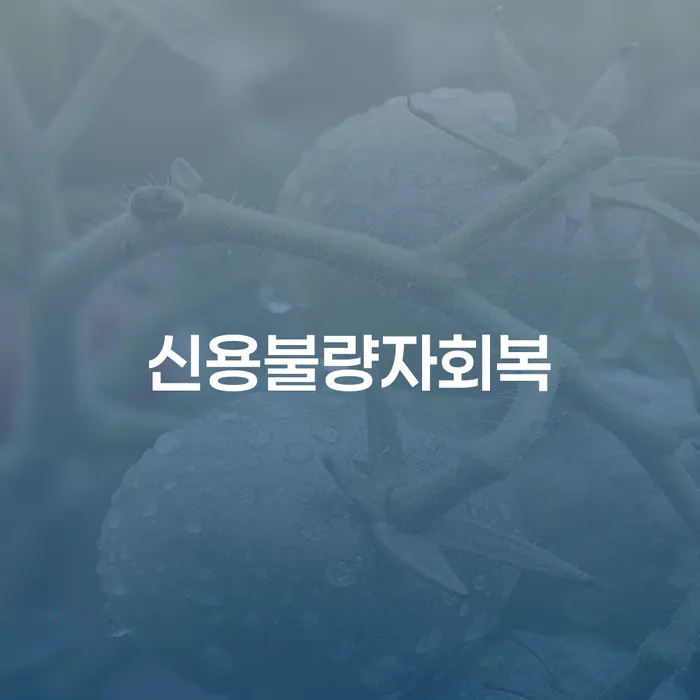 전주시 파산면책기간 워크아웃 이렇게 진행을