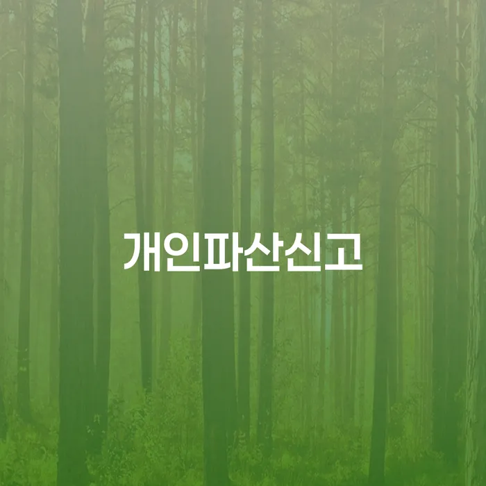 세종시 대구회생 추심 대응법 혼자 고민하지 마세요.