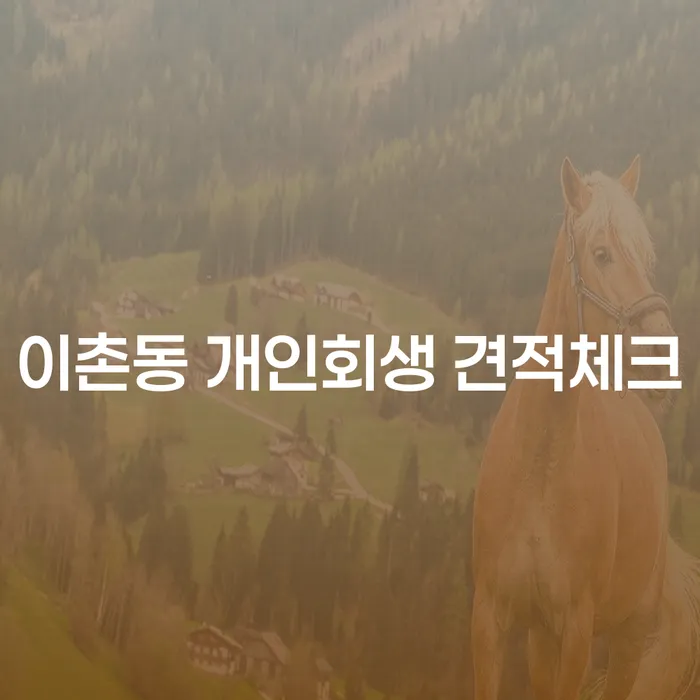 이촌동 개인회생 견적체크