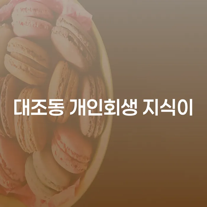대조동 개인회생 지식이