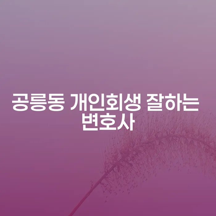 공릉동 개인회생 잘하는 변호사
