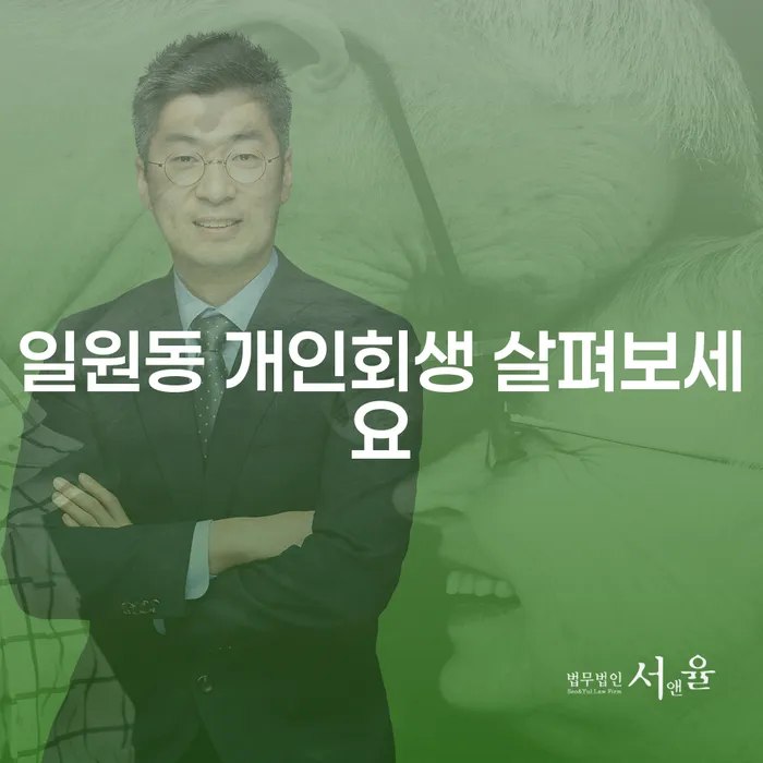 일원동 개인회생 살펴보세요