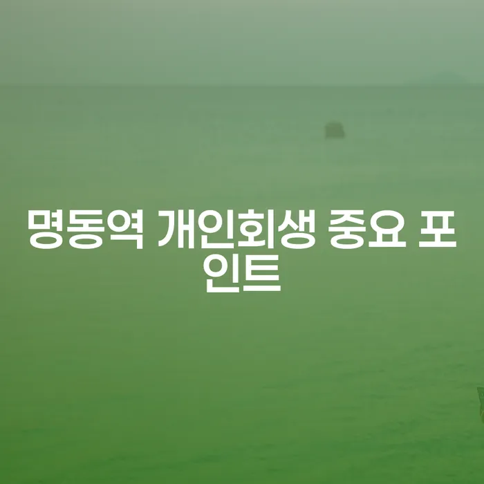 명동역 개인회생 중요 포인트