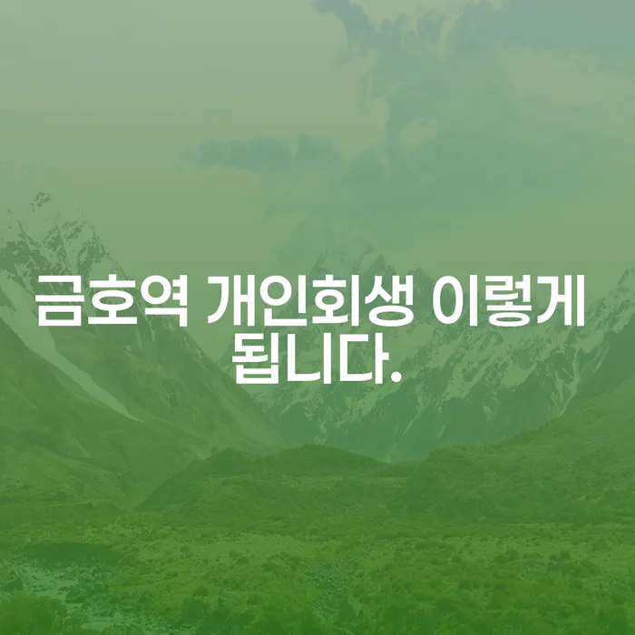 금호역 개인회생 이렇게 됩니다.