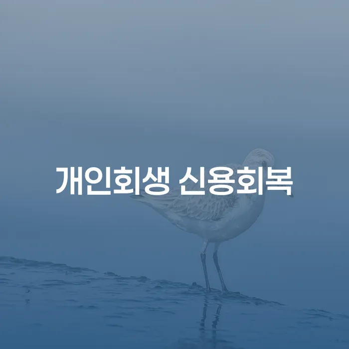개인회생과 신용회복, 어떤 선택이 최선일까요?