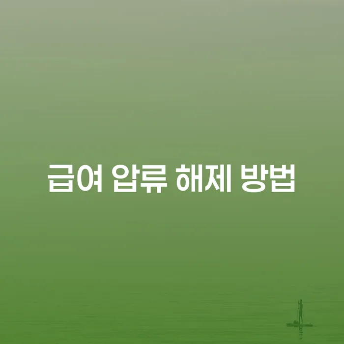 급여 압류 해제 방법을 알아보세요: 채무 해결의 첫 걸음