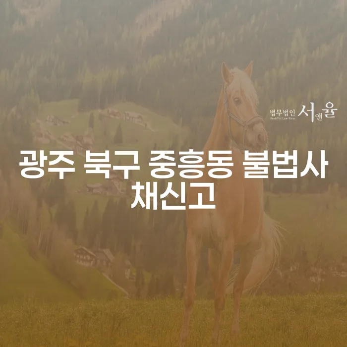 광주 북구 중흥동 불법사채신고와 주식대출 6000만원 개인회생, 어떻게 접근해야 할까요?