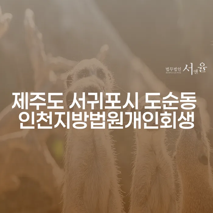 제주도 서귀포시 도순동에서 인천지방법원개인회생을 신청할 수 있을까요?