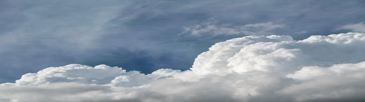 법무법인 서앤율