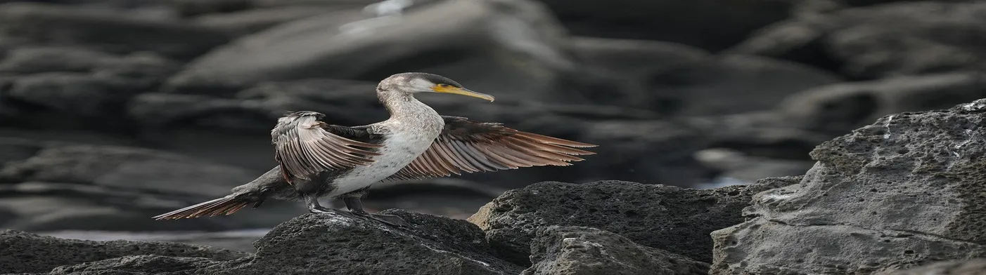 법무법인 서앤율