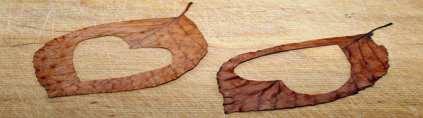 법무법인 서앤율